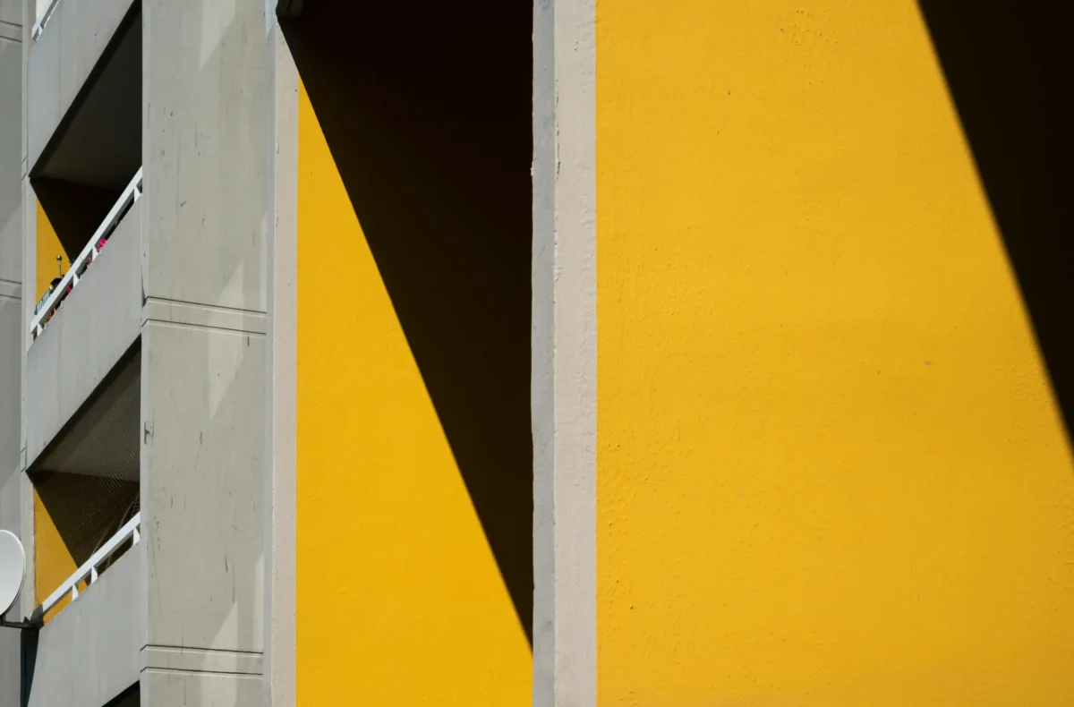 closeup shot of white yellow